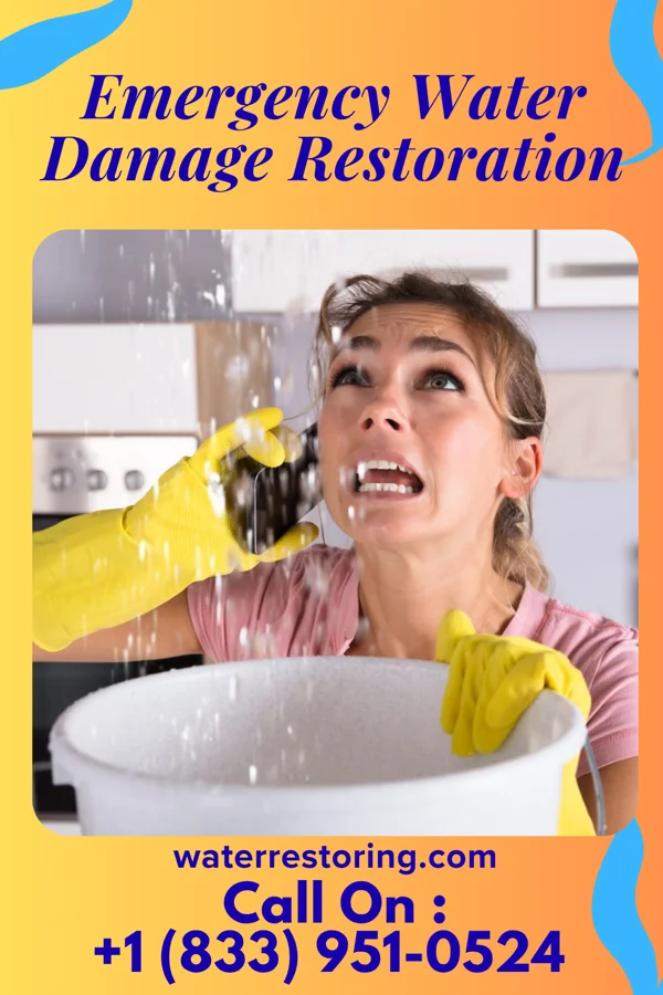 Emergency Water Damage Restoration in Culver City, CA